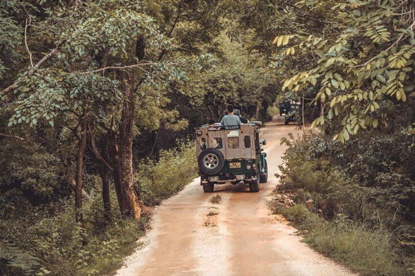 Kaudulla National Park , Jeep Safari 5