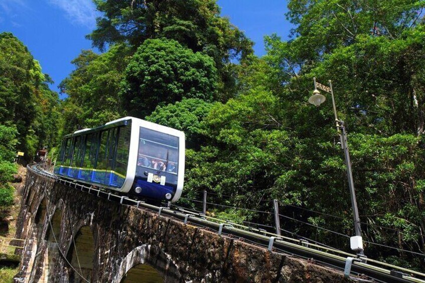 A cable car on a bridge surrounded by lush greenery. 1