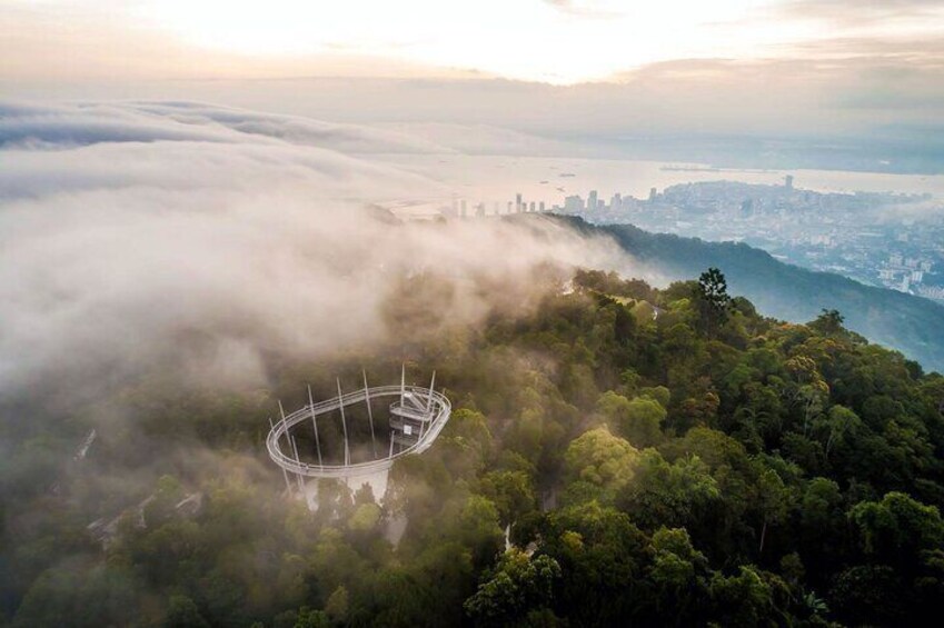 A stadium surrounded by dense forest and mist, with a city skyline in the background. 2