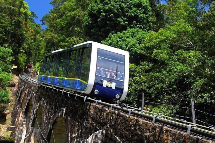A blue and white train on a bridge surrounded by lush greenery. 4