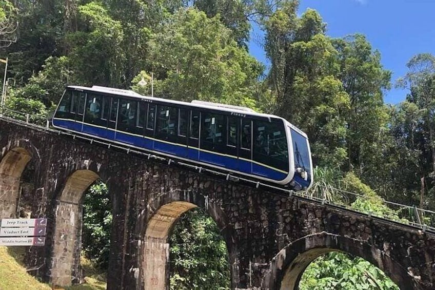A train on a stone bridge with greenery around. 5