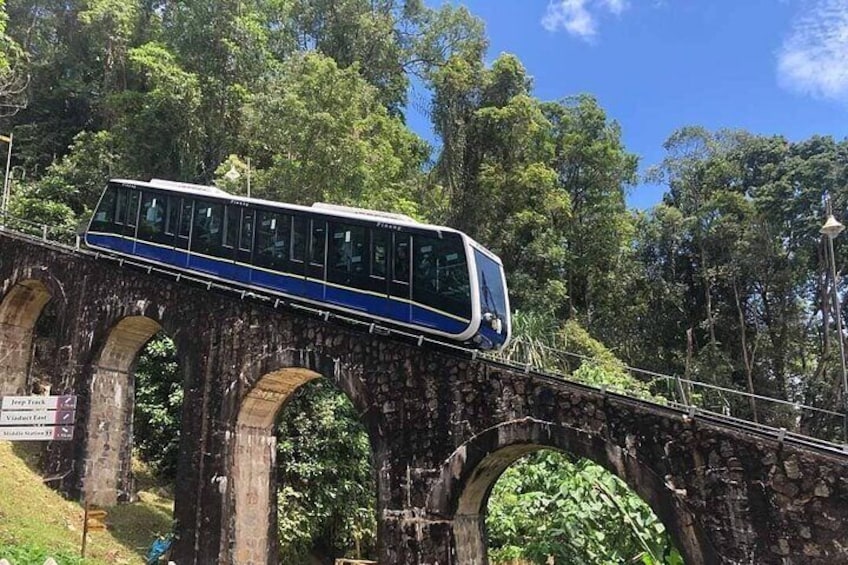 A train on a stone bridge with greenery around. 5