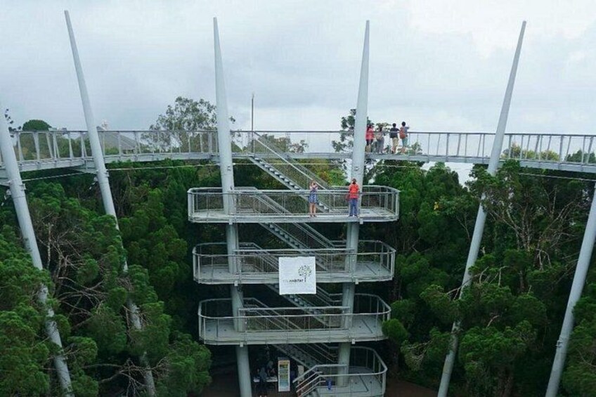 A multi-level observation tower with metal railings and stairs, surrounded by dense green foliage. 5