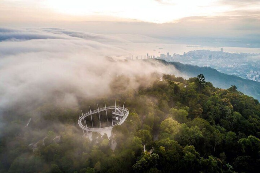 Relaxing environment at 2,700 feet (833 m) above sea level 1