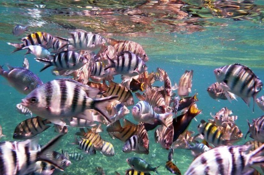 Perhentian 2
