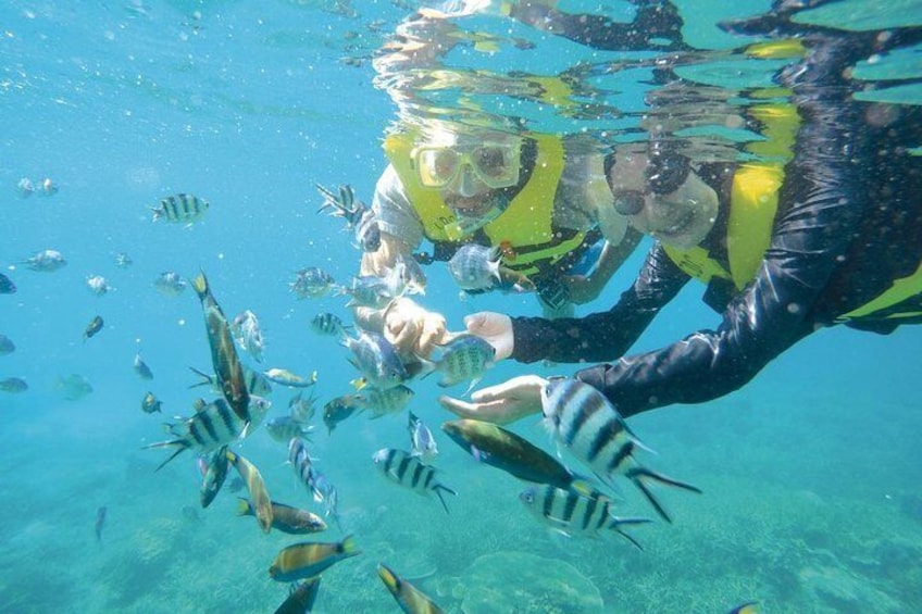Perhentian Island Free & Easy with Two Snorkeling Trips 3D2N 5