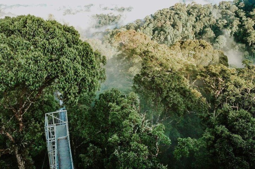 Full Day Trip of Brunei Ulu Temburong National Park including Canopy Walk 4