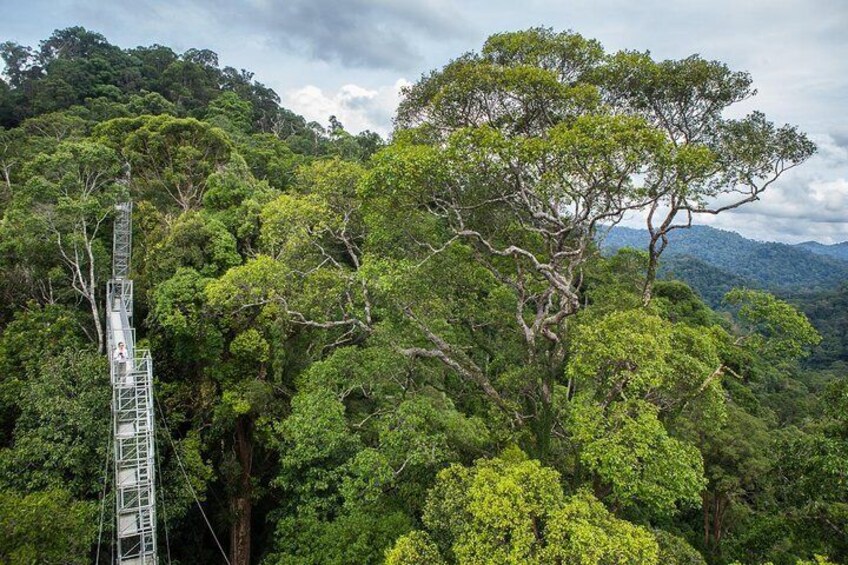 Full Day Trip of Brunei Ulu Temburong National Park including Canopy Walk 3