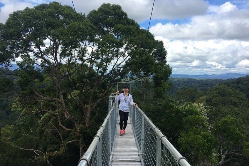 Full Day Trip of Brunei Ulu Temburong National Park including Canopy Walk 1