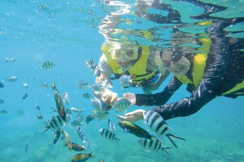 Full Day Snorkeling from Perhentian Island Terengganu 1