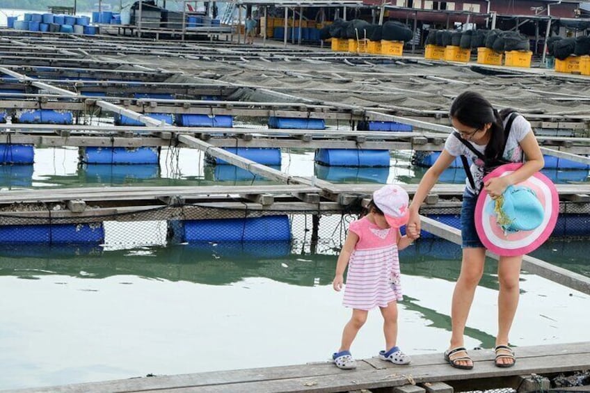 Back to Nature : Sekinchan Paddy Field, Fishing Village & Fireflies Tour 2