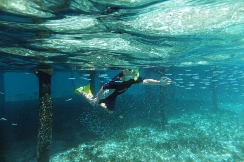 A person scuba diving underwater with fish swimming around. 4