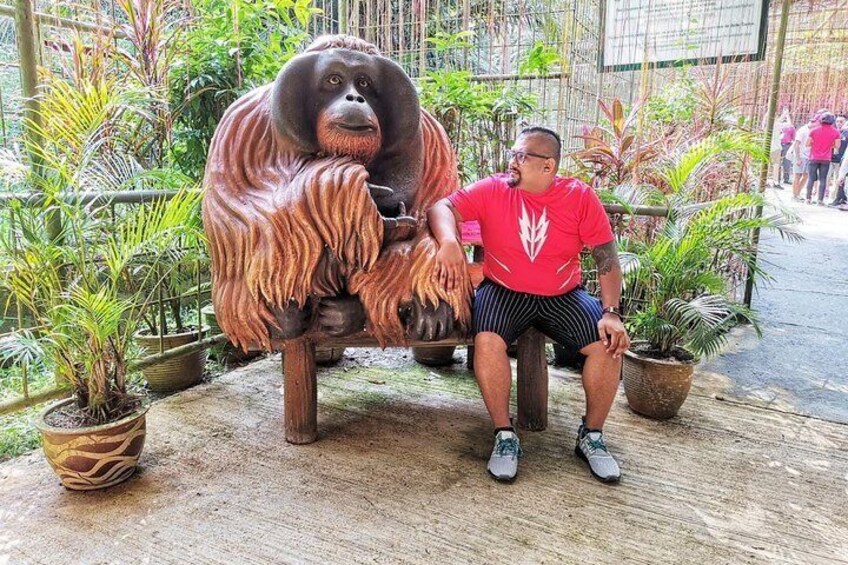 Day trip to the Orang Utan Island sanctuary in Bukit Merah 1