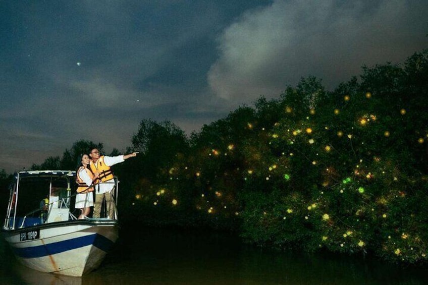 A boat on water with people wearing life jackets, a forested area with glowing lights, and a dark sky. 2