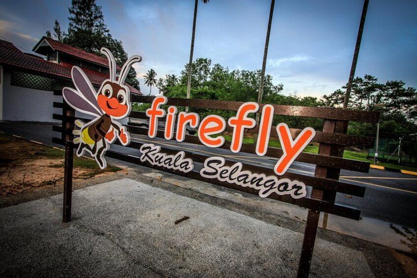 Kuala Selangor Firefly Park 4