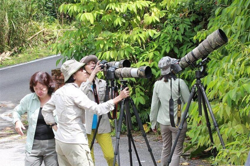 People using large telescopes on tripods in a natural setting. 1