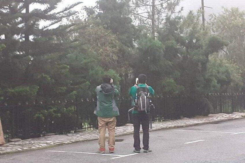 Two people walking on a road with trees and a fence in the background. 4