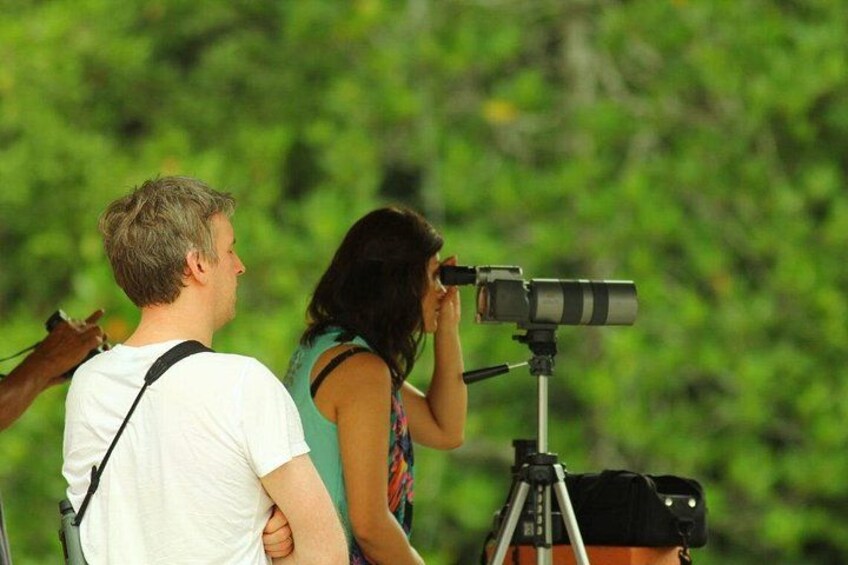 A person using a telescope, another person observing, and a tripod with a camera. 2