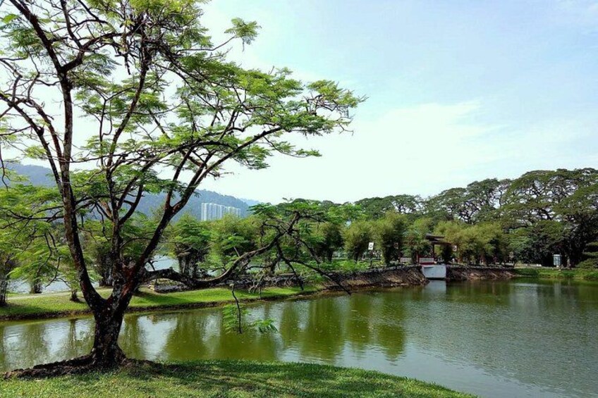A calm lake surrounded by trees and a grassy area with a small pavilion. 5