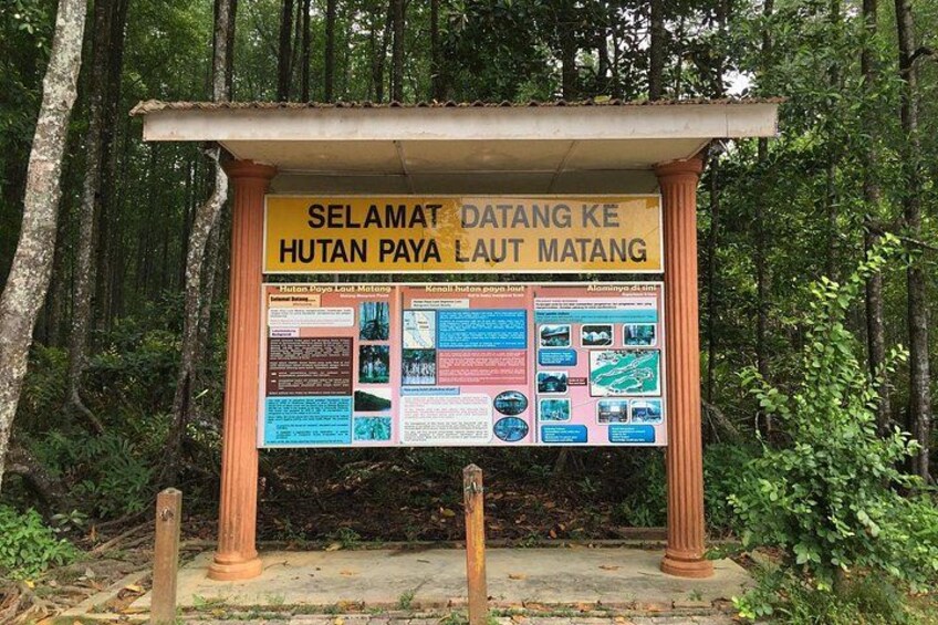 A signpost with information about Hutan Paya Laut Matang. 3
