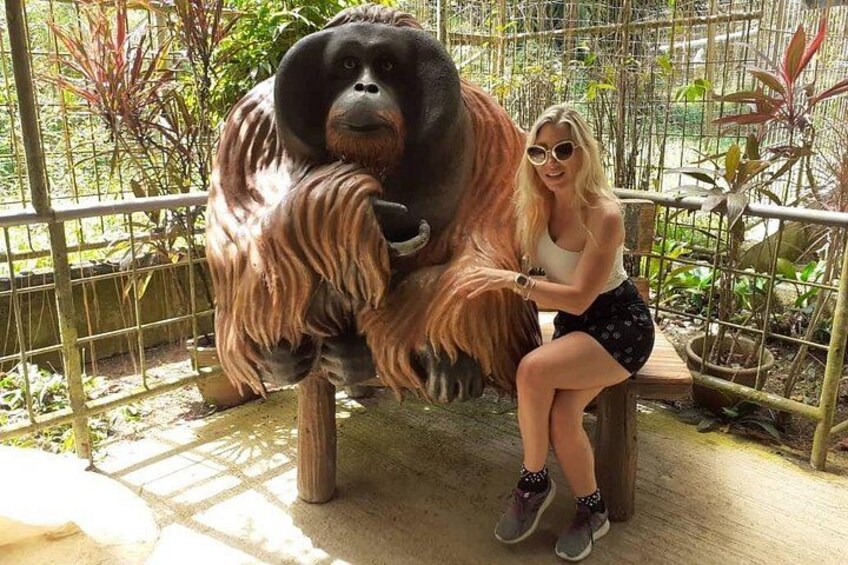 A person sitting on a bench next to a large animal enclosure with a fence and plants in the background. 1