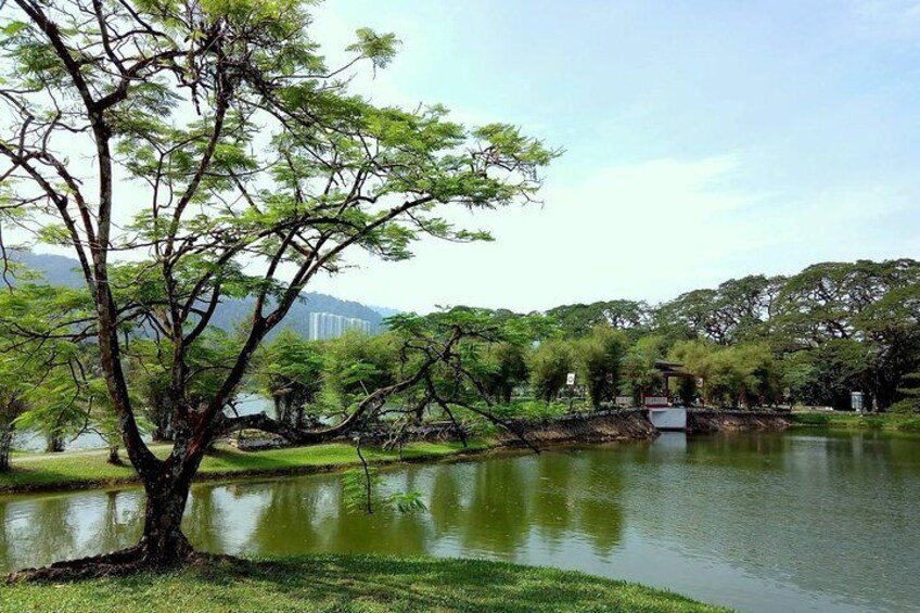 Taiping & Orang Utan Island Day Tour from Kuala Lumpur 2