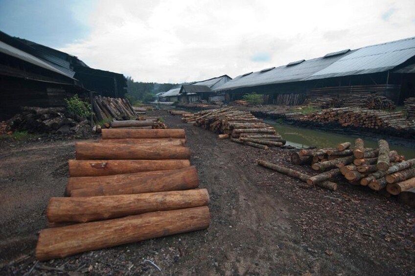 A lumber yard with stacks of logs and wooden planks. 2