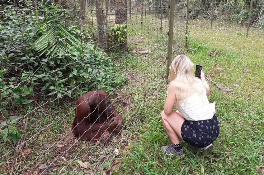 Ipoh & Orang Utan Island Day Tour from Kuala Lumpur 2