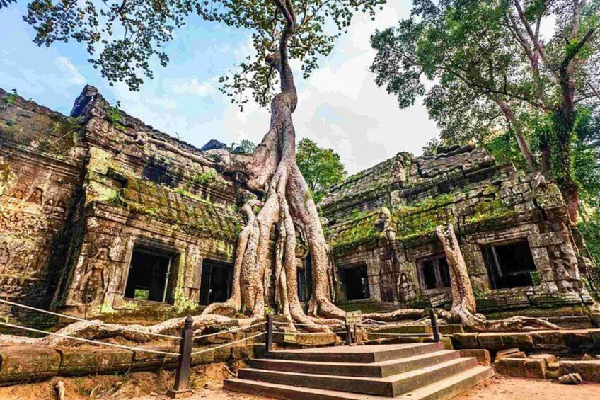 Angkor Wat Private Day Tour from Siem Reap 5