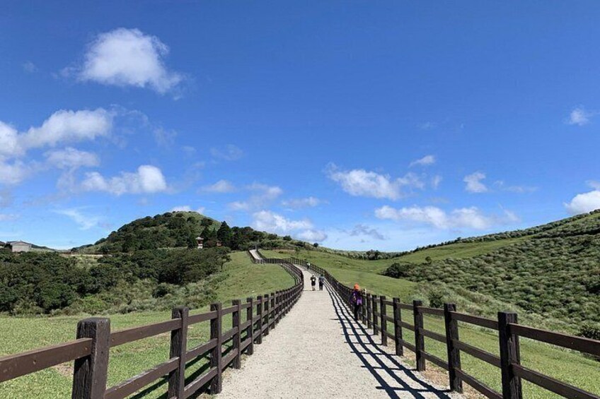 Qingtiangang trail, Yangmingshan National Park (Taipei, Taiwan) 2