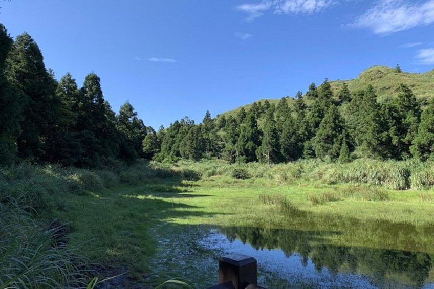 Menghuan Pond trail, Yangmingshan National Park (Taipei, Taiwan) 4