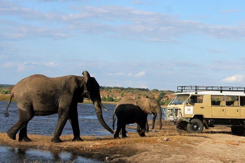 Två elefanter nära en vattenkälla, med ett safaribil i bakgrunden. 4