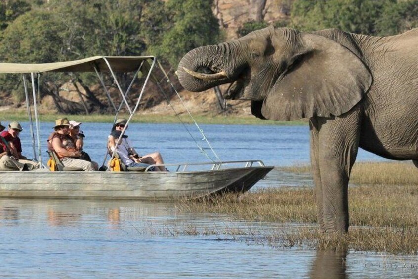 Chobe River Cruise