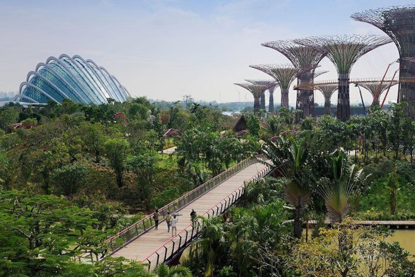 Un parque con un sendero de madera, árboles grandes y estructuras arquitectónicas distintivas al fondo. 1