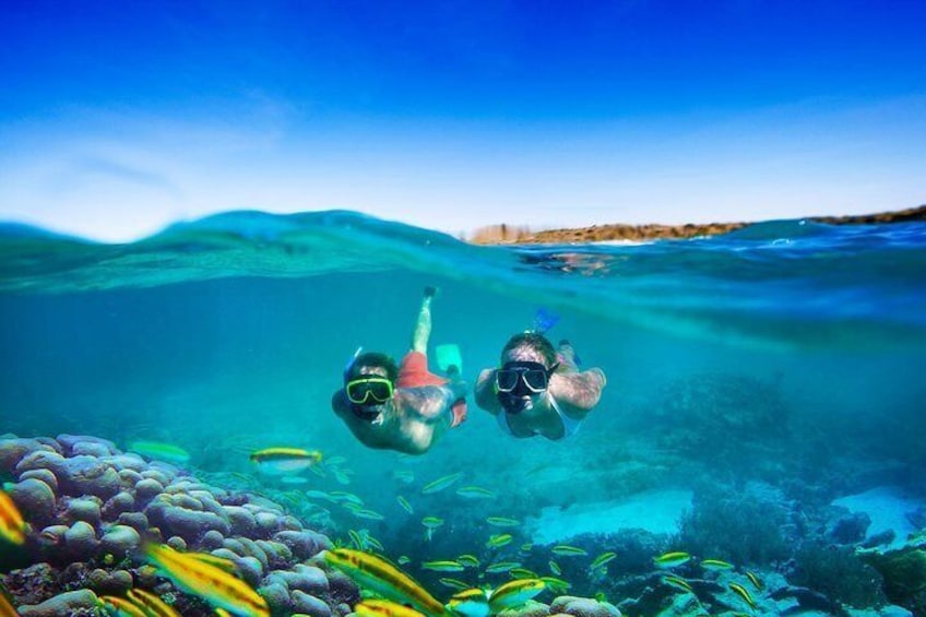 Deux personnes pratiquent la plongée en apnée au-dessus d’un récif corallien, avec des poissons en arrière-plan. 5