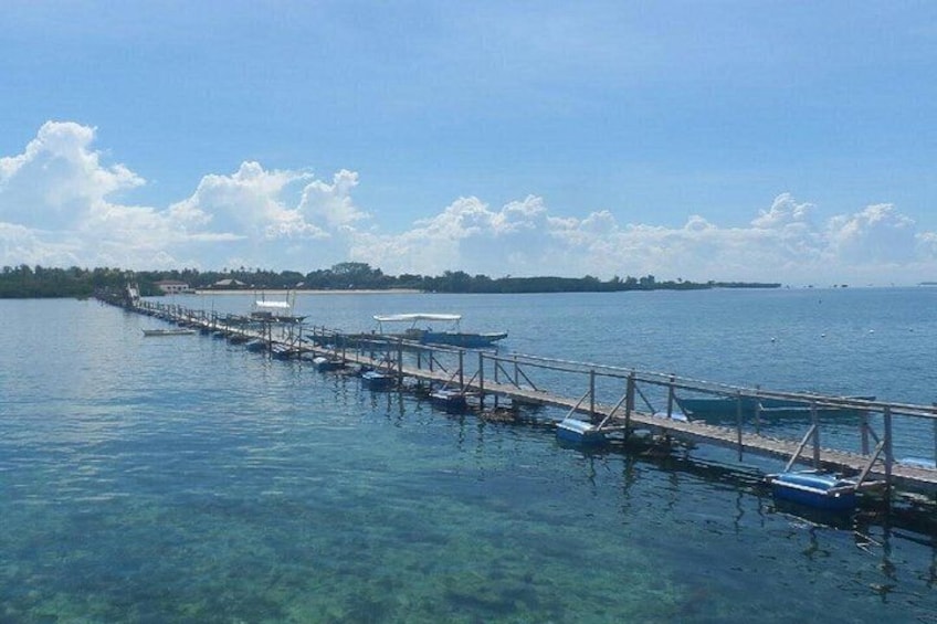 San Vicente Marine Sanctuary 2
