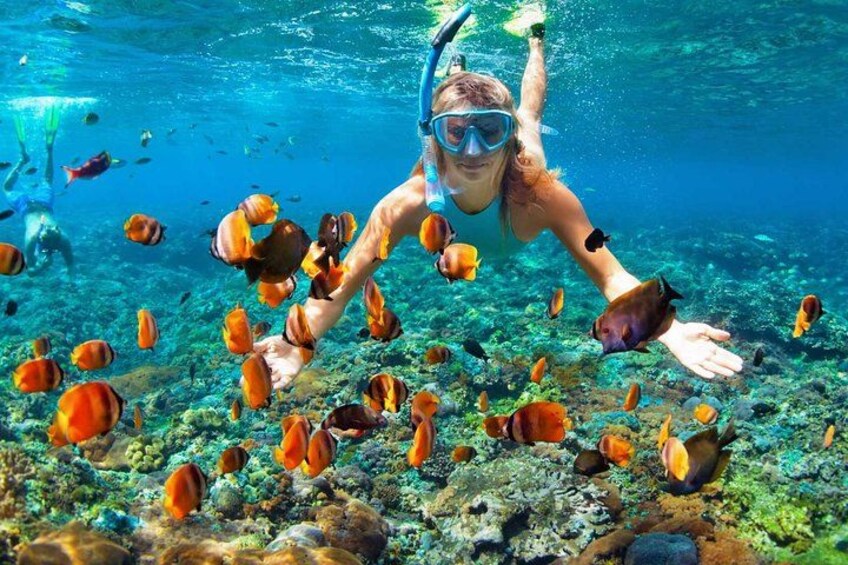 Iemand snorkelt onder water omringd door vissen. 3