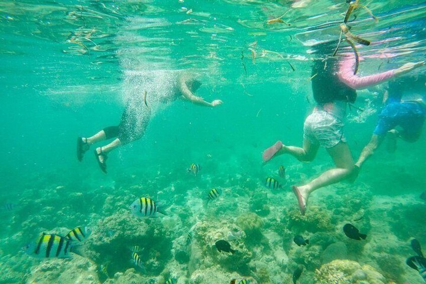 Snorkeling in Caohagan 2
