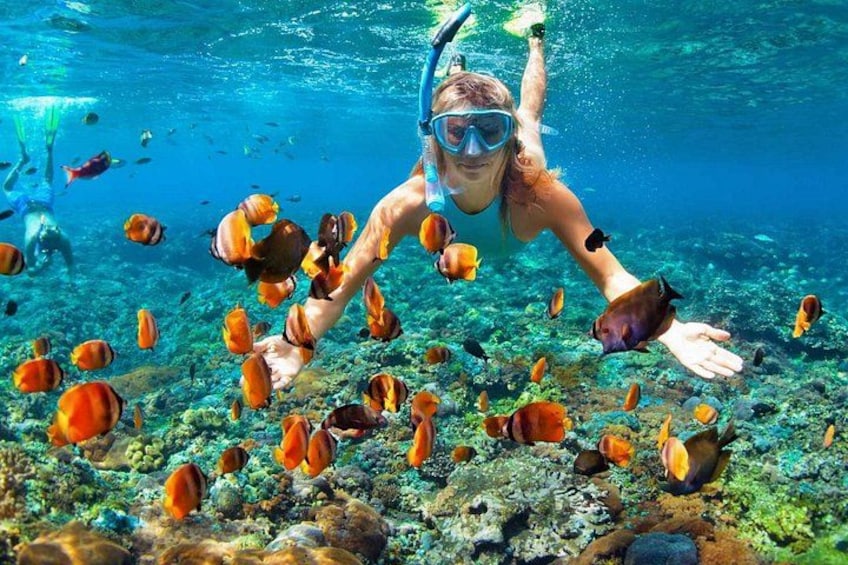 Snorkeling in the islands of Mactan 2