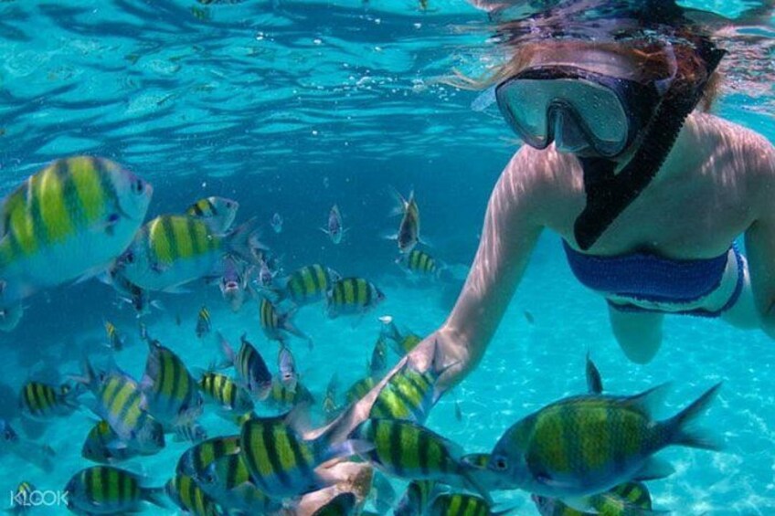 Island Hopping in Cebu 1