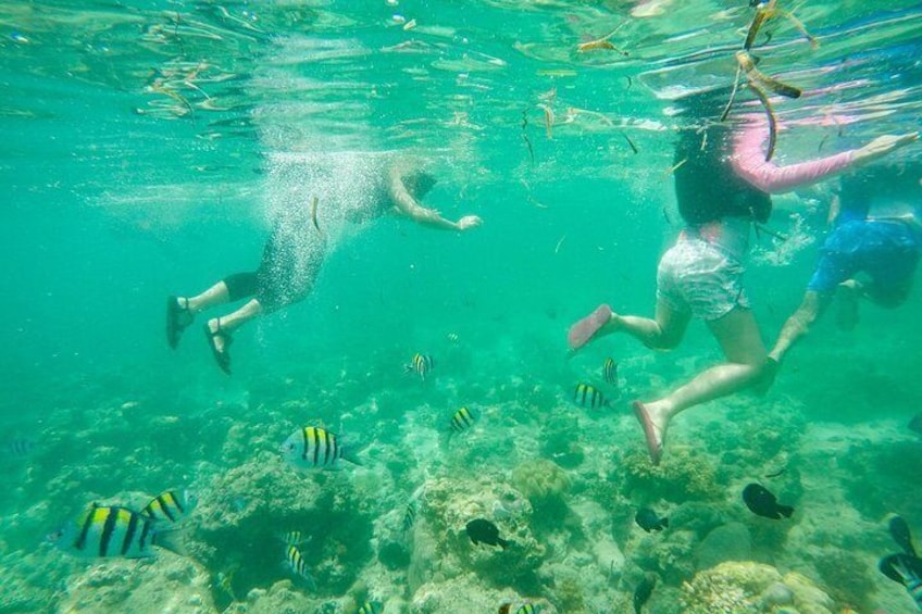Deux personnes font de la plongée avec tuba et nagent parmi les poissons. 2