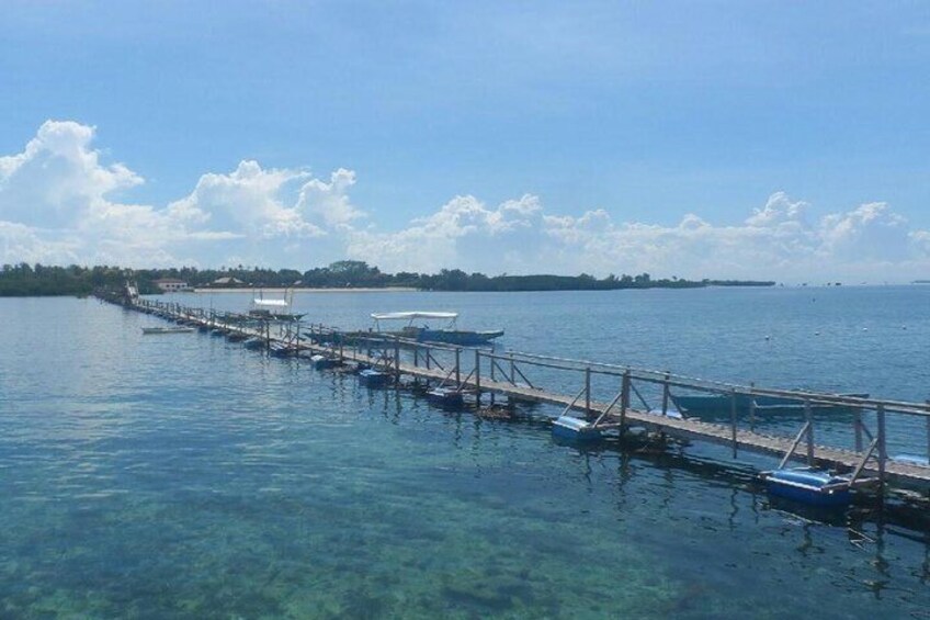 San Vicente Marine Sanctuary 2