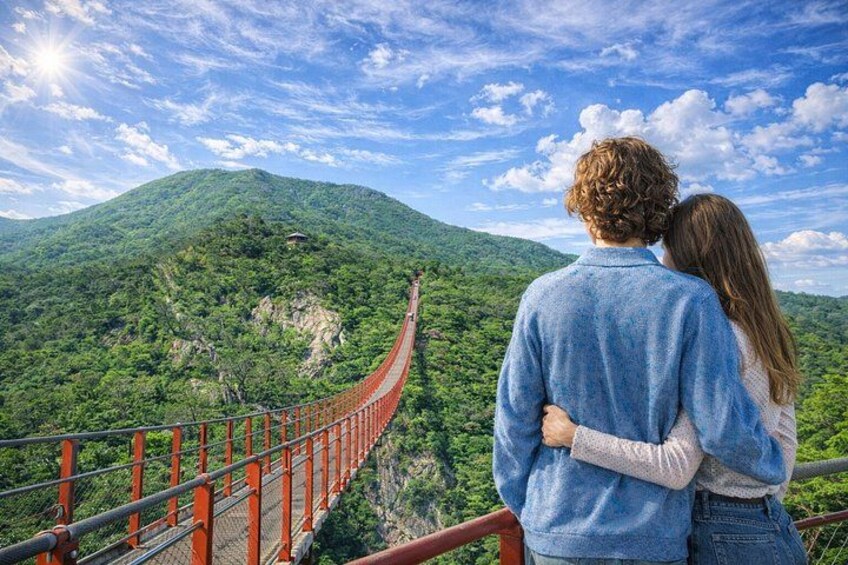 Exclusive small Group DMZ tour with Hotel pickup&dropoff 4