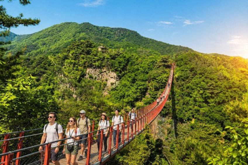 Exclusive small Group DMZ Tour with Hotel pickup&dropoff 2