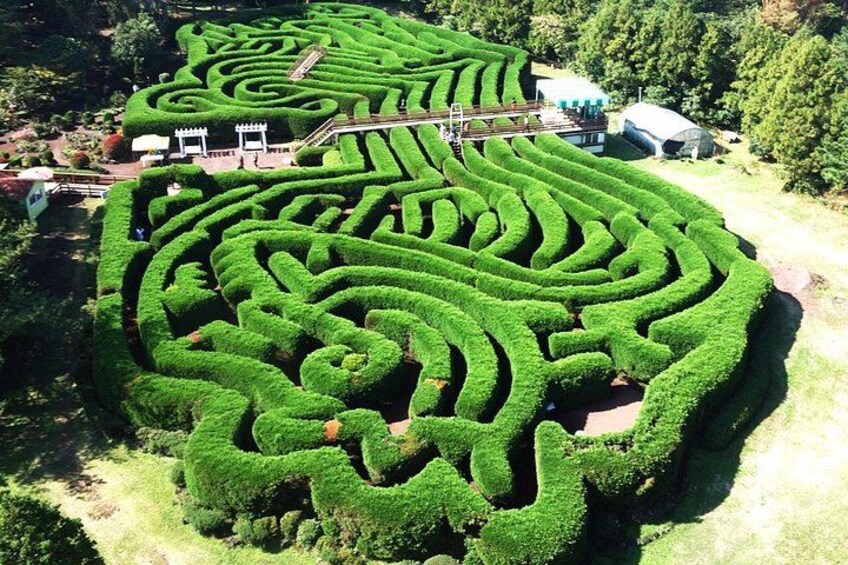 Maze park 4