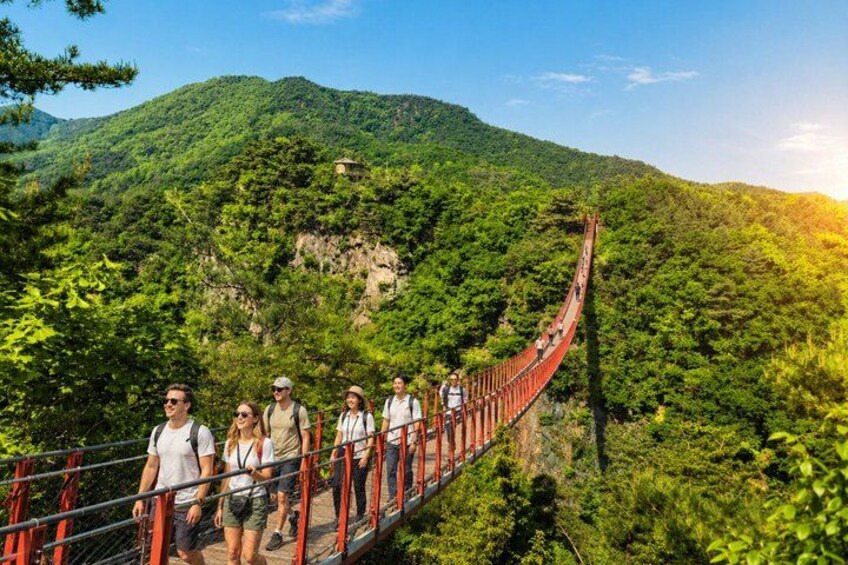 A group of people walking on a red suspension bridge over a lush green valley. 3