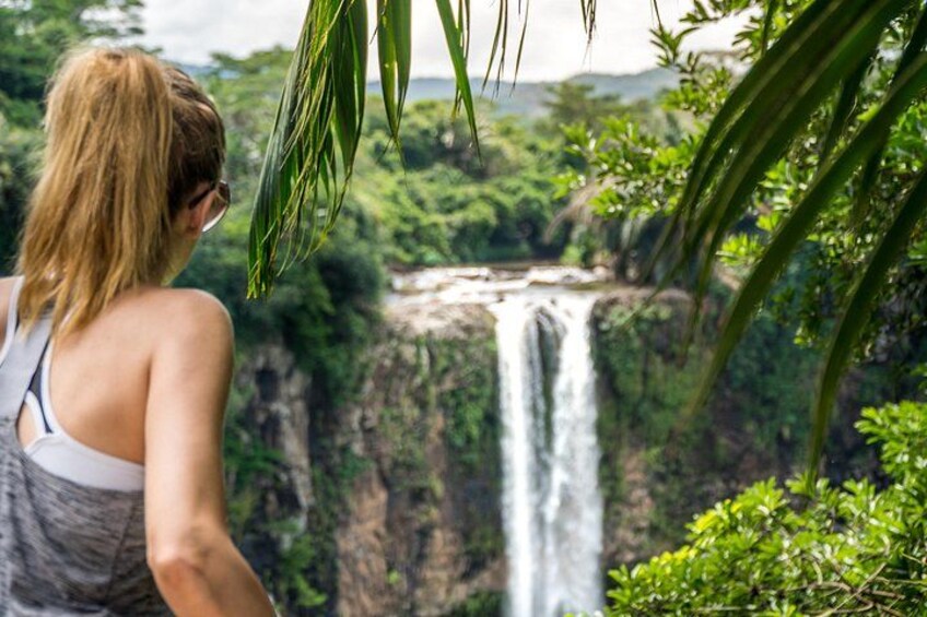 Una cascada con exuberante vegetación al fondo. 3