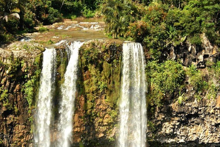 Una cascada se precipita por un acantilado rocoso rodeado de exuberante vegetación. 3