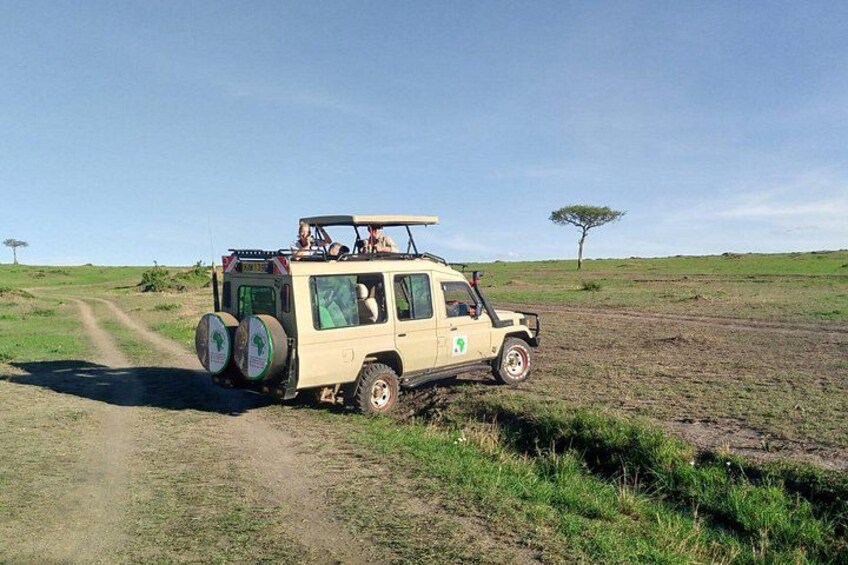 Nairobi National Park Half-Day Tour; Free Wi-Fi connection 2