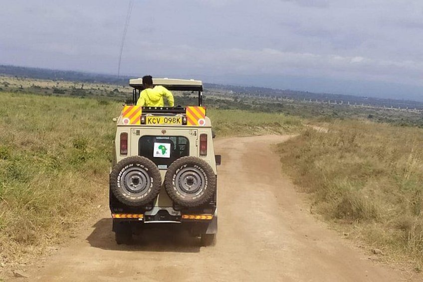 Safari Tour; Nairobi National Park 5